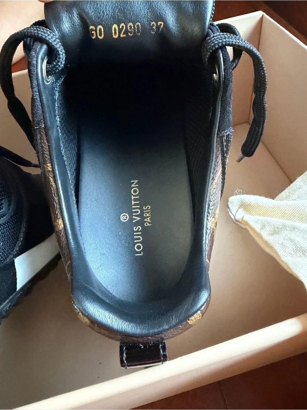 Louis Vuitton stylish louis